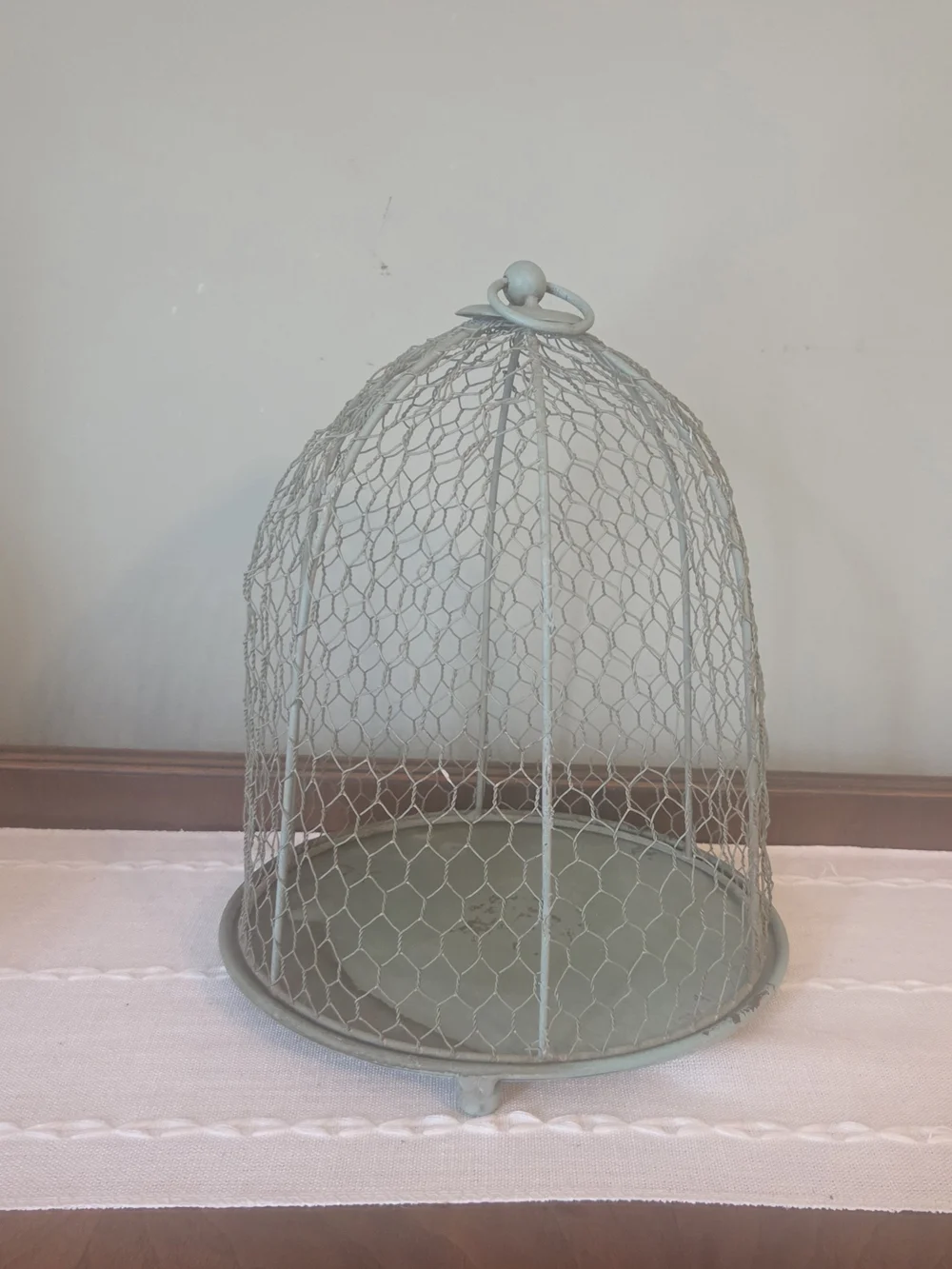 Decorative  Farmhouse Wire Dome Cloche - Pale Sage Green